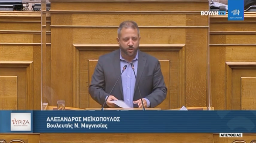 Αλ. Μεϊκόπουλος: Οι μεγάλες προσδοκίες για τα ζώα συντροφιάς διαψεύστηκαν από ένα λίγο νομοσχέδιο