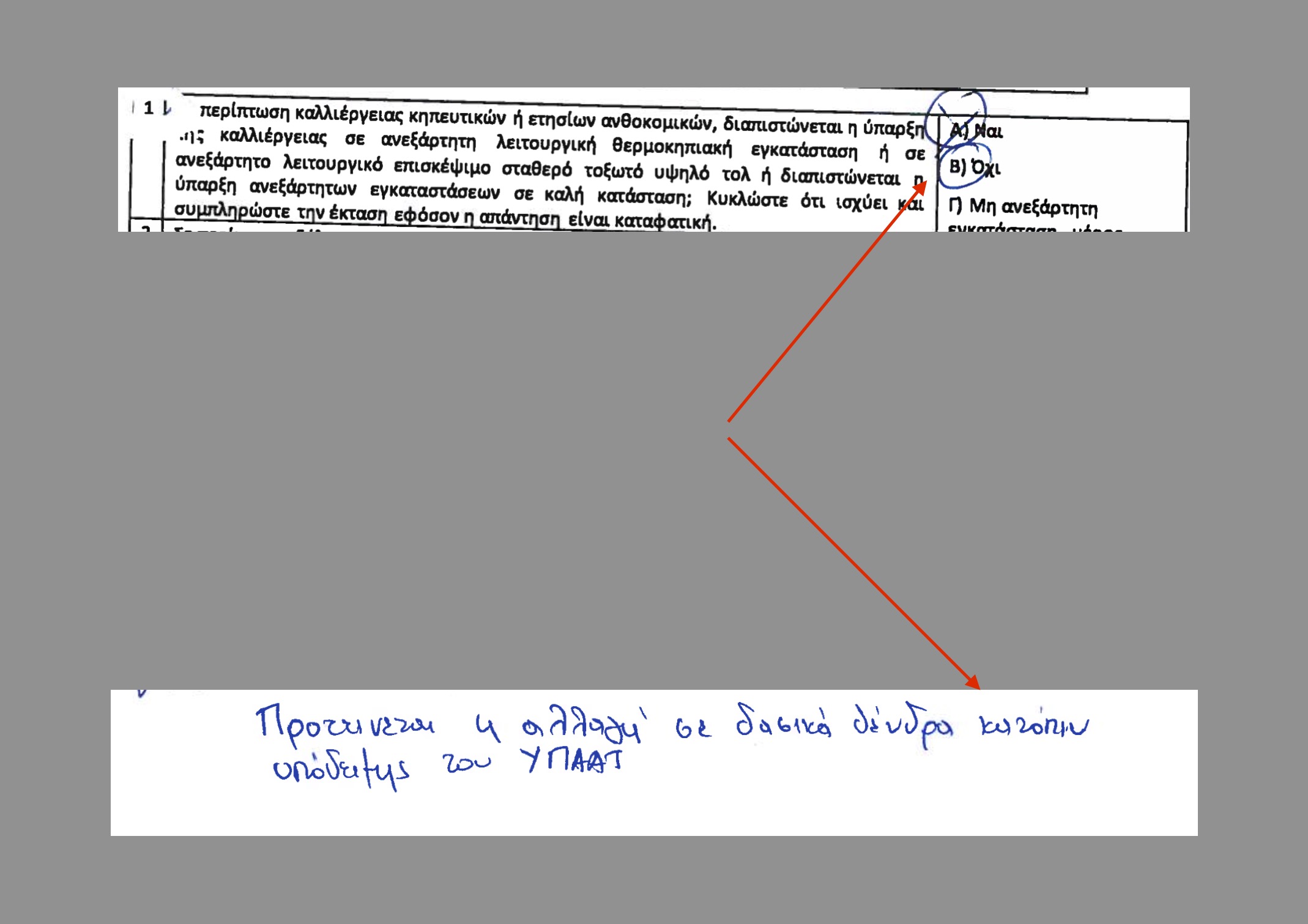 Κ. Μάλαμα: Υπηρεσιακά έγγραφα δείχνουν το μέγεθος του εμπαιγμού με τους φυτωριούχους ελάτης του Ταξιάρχη Χαλκιδικής