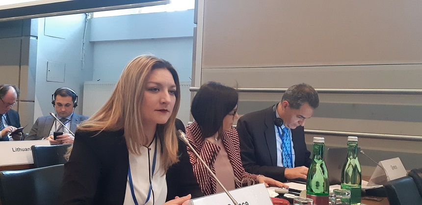 Ν. Γκαρά από Ολομέλεια ΟΑΣΕ: «Συνεργασία των κρατών της ΕΕ για διαχείριση προσφυγικού και ισότιμη κατανομή»