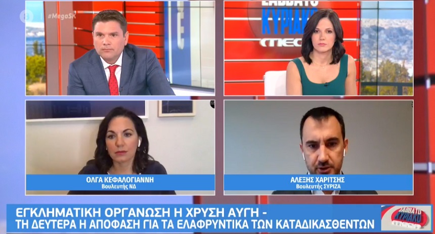 Αλ. Χαρίτσης: Φτάσαμε στο σημείο ο Άδωνης Γεωργιάδης να κατηγορεί τον Αλέξη Τσίπρα ότι κάνει πλάτες στη Χρυσή Αυγή - Η σπέκουλα της κυβέρνησης έχει ξεπεράσει κάθε όριο - βίντεο